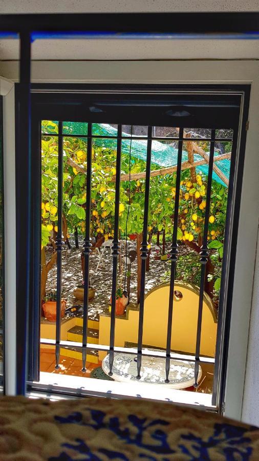 Il Limoneto Di Lulu, Holidays Among The Lemon Trees Holiday home *