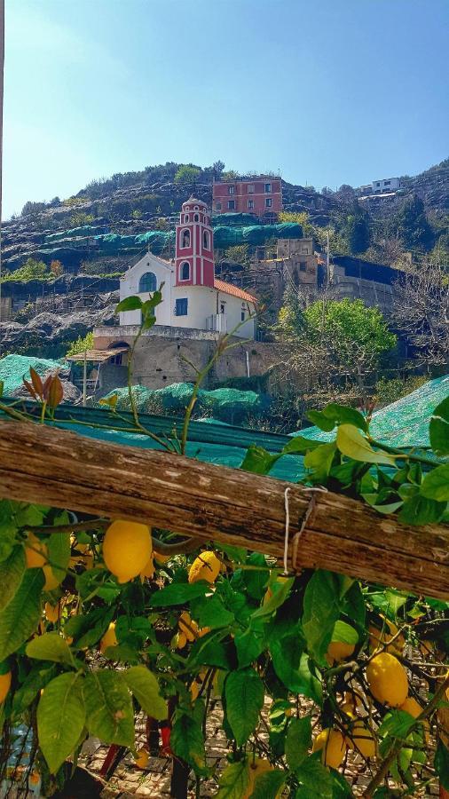 Il Limoneto Di Lulu, Holidays Among The Lemon Trees *