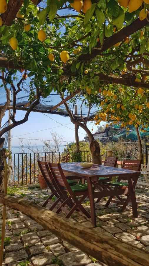 Il Limoneto Di Lulu, Holidays Among The Lemon Trees Holiday home Minori