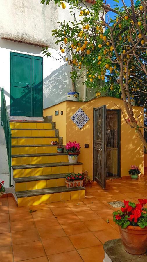 Il Limoneto Di Lulu, Holidays Among The Lemon Trees * Minori