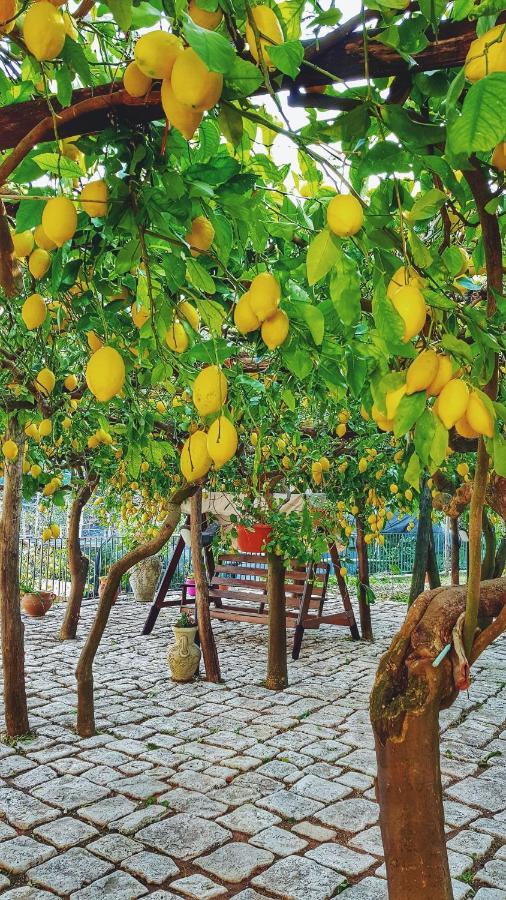Il Limoneto Di Lulu, Holidays Among The Lemon Trees Holiday home