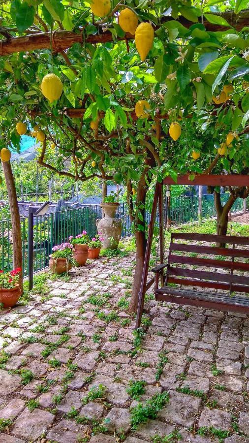 Il Limoneto Di Lulu, Holidays Among The Lemon Trees Holiday home Minori