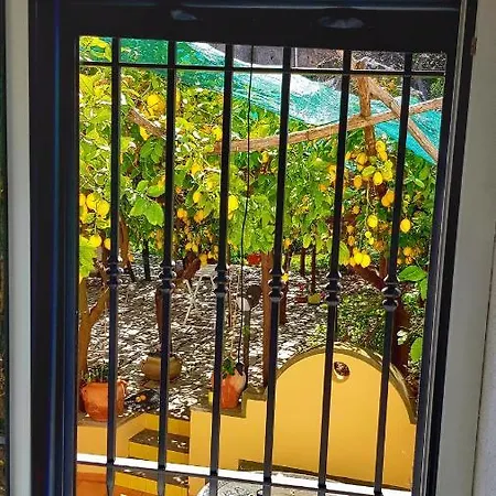 Il Limoneto Di Lulu, Holidays Among The Lemon Trees Minori Exterior foto