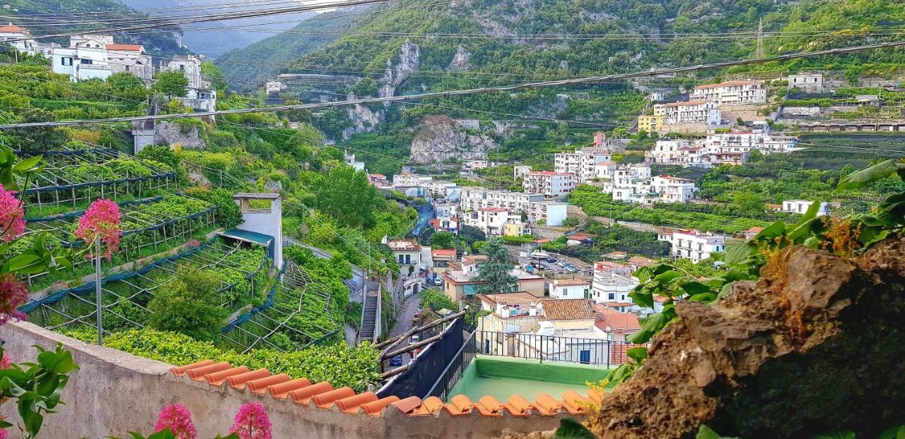 Il Limoneto Di Lulu, Holidays Among The Lemon Trees * Minori